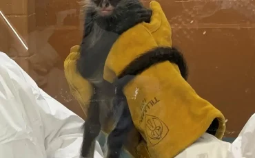 Jorgie Saved Jorgie Saved